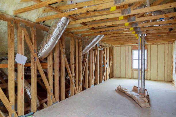 Best Eco-Friendly Insulation in Waverly, NE